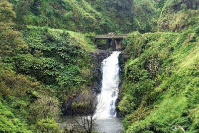 Private Full Day Maui Road to Hana Tour - Price and Logistics: The Value Math That Matters
