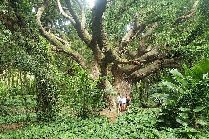 Private Full Day Maui Road to Hana Tour - Snacks, Water, and the Small Stuff You’ll Thank Yourself For