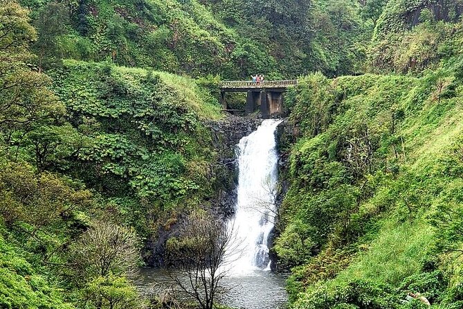 Private Full Day Maui Road to Hana Tour - Price and Logistics: The Value Math That Matters
