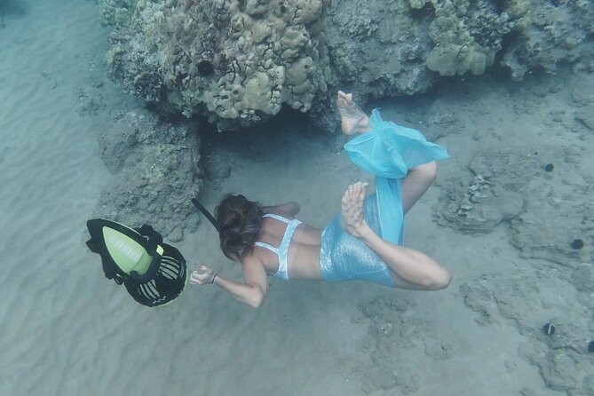 Private Guided Tours Beach Entry with Sea Scooters up to 5 guests - Learning the Reef Story With a Coral Institute Video