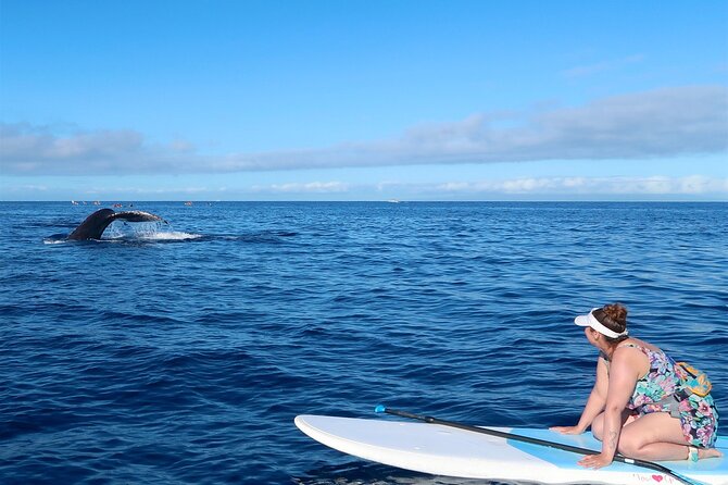 Private Paddleboard (SUP) Whale Watch: All Skill Levels Welcome - Beginner-Friendly SUP Without the Awkward Learning Curve