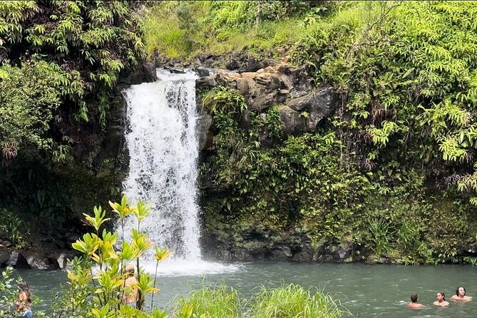 Private Road to Hana Maui Open-Air Jeep Tour - Price and Logistics: What $1,399 Per Group Really Buys