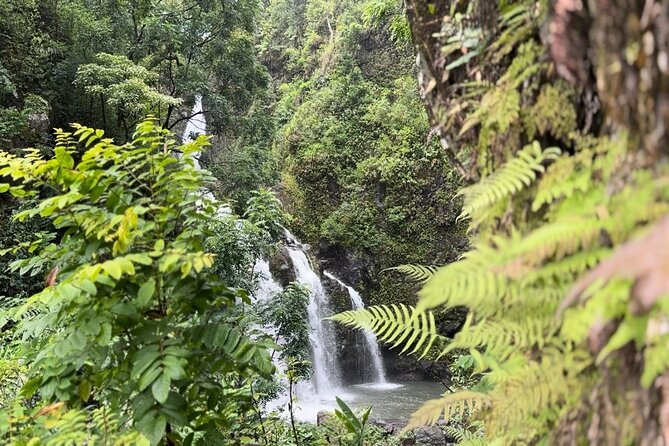 Private Road to Hana Maui Open-Air Jeep Tour - Who This Tour Is Best For
