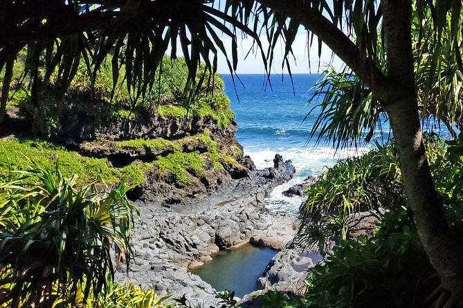 Private Road to Hana or any Maui destination in Luxury Mercedes Sprinter - Live narration: how the guide turns stops into stories