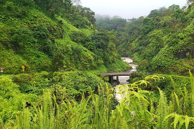 Private Road to Hana or any Maui destination in Luxury Mercedes Sprinter - Pickup on Maui: do this once, correctly, and you’ll be happy