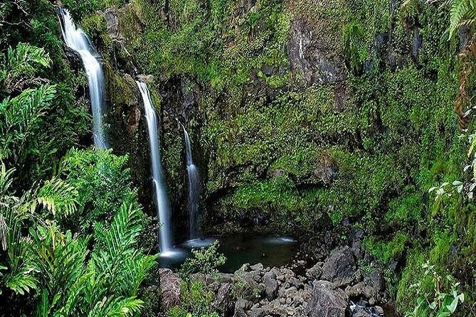 Private Road to Hana Rainforest & Waterfall Experience from Maui - Ho’okipa Beach Park: turtles, surf, and a quick reset at the start