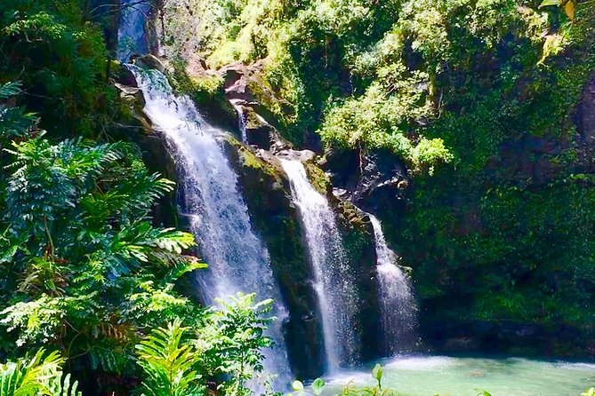 PRIVATE Road to Hana Tour - Road to Hana without the white-knuckle driving