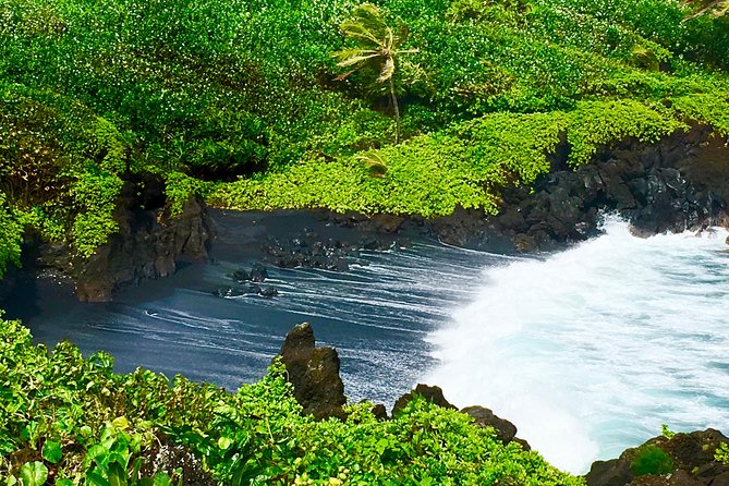 PRIVATE Road to Hana Tour - Kona Cloud Forest Sanctuary: spotting rainbow eucalyptus in Maui