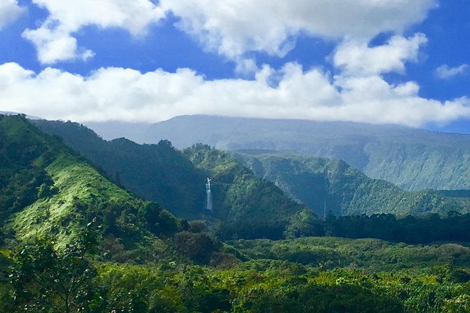 PRIVATE Road to Hana Tour - Waikamoi Ridge Trail: waterfall lookout option without overcommitting