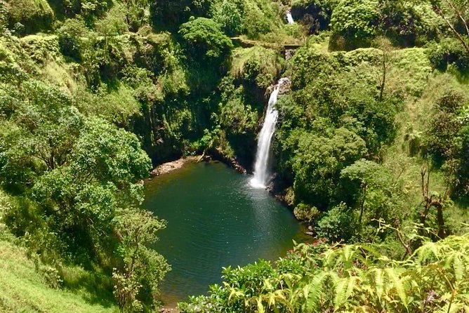 PRIVATE Road to Hana Tour - Ke‘anae Point: taro fields, Jurassic Park rock, and famous banana bread