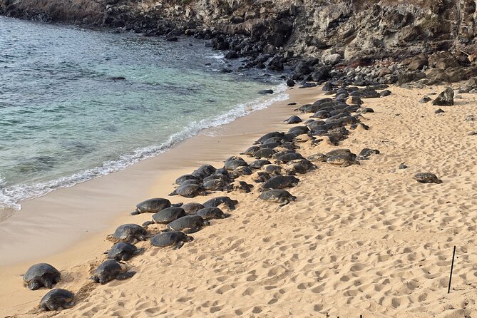 Private Road to Hana Tour with Pickup - Key points at a glance