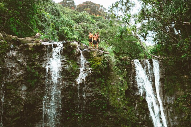 Private Road To Hana Tour with Professional Photos Included - Price and Value at $650 per Person