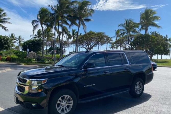 Private Round-Trip Transfer: Maui Kahului Airport to Maui Hotels - Quick Highlights I’d Plan Around