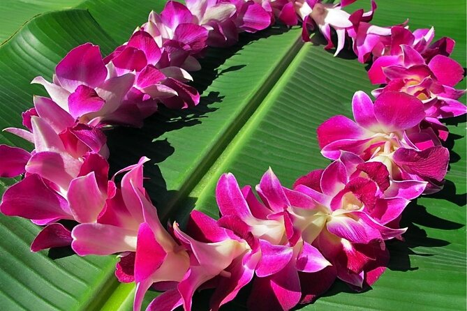 Private Round-Trip Transfer: Maui Kahului Airport to Maui Hotels - Who This Maui Transfer Fits Best
