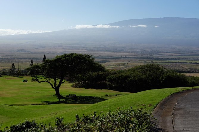 Private Shore Excursion: Best Highlights of Maui - Stop 2: Maui Tropical Plantation sugar-era history and easy walking (free admission)