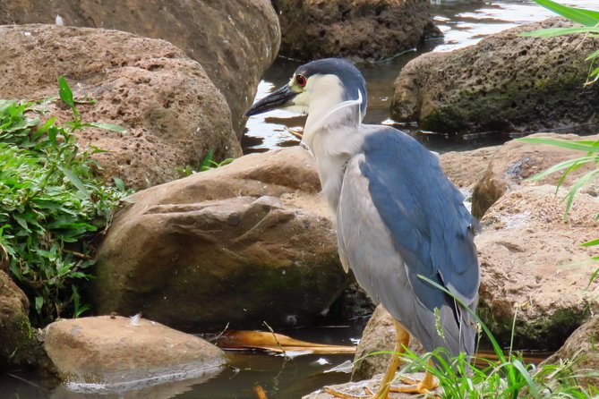 Private Shore Excursion: Best Highlights of Maui - What to expect day-of: timing, pace, and how to prepare