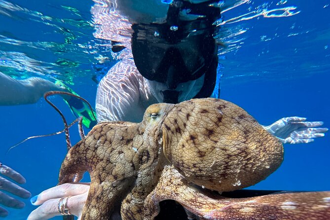 Private Snorkel Photos Included - Key things that make this snorkel tour feel different