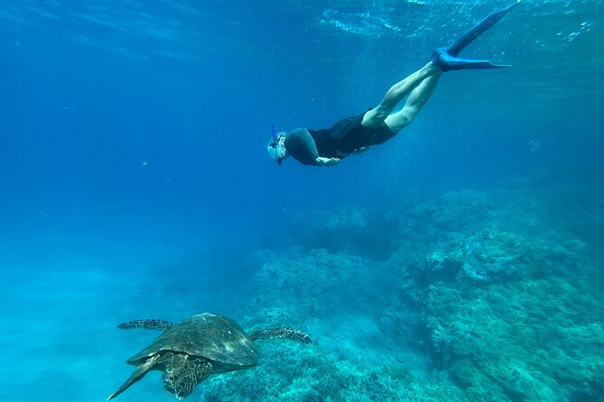 Private Snorkel Photos Included - Gear, snacks, and the small things that stop snorkeling from feeling like a chore
