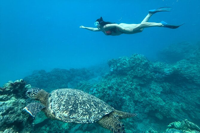 Private Snorkel Photos Included - Who this private snorkel tour is best for