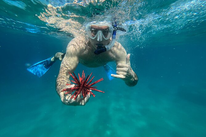 Private Snorkel Photos Included - How the private snorkel time works: shore access, guided confidence, and calm pacing
