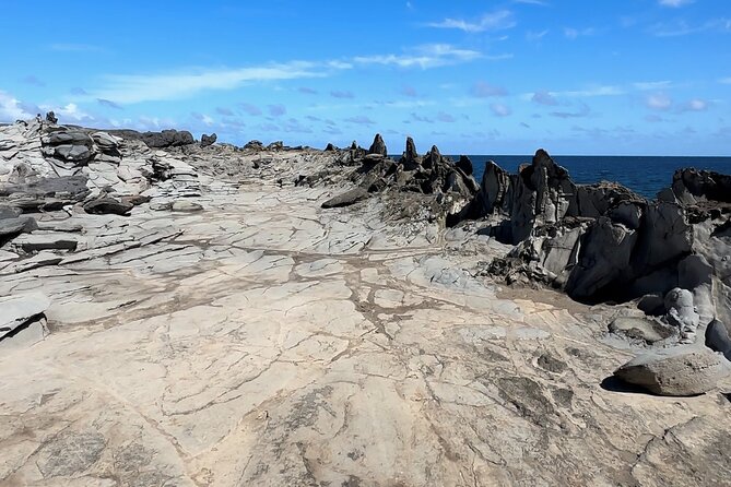 Private West Maui Coastline Open-Air Jeep Tour - Food, Snacks, and Drinks: What’s Included vs. What You’ll Buy