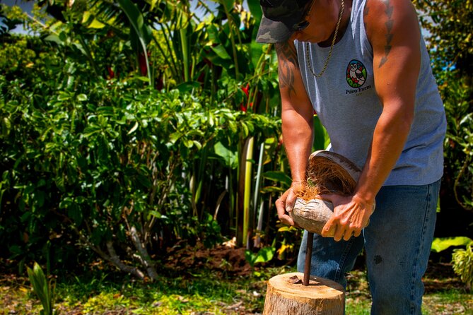 Pueo Farm Tour (1.5 hr) Upcountry Kula Maui Hawaii - Upcountry Kula and why a farm tour here feels different