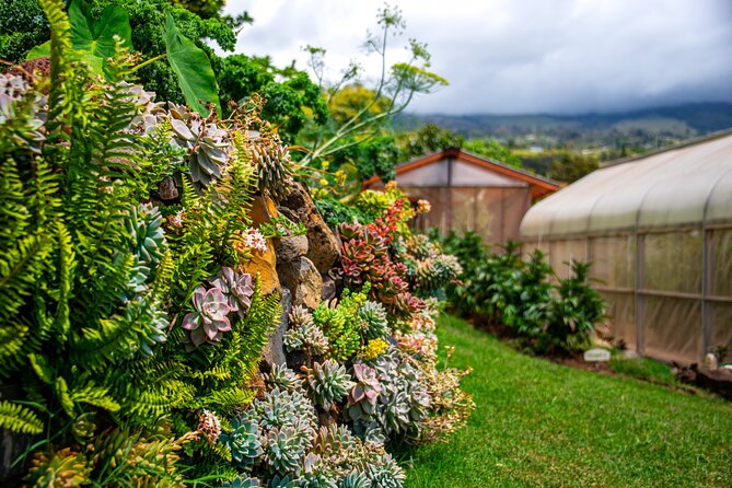 Pueo Farm Tour (1.5 hr) Upcountry Kula Maui Hawaii - Price and value: what $60 buys you in 1.5 hours