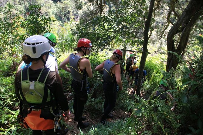 Rappel Maui Waterfalls and Rainforest Cliffs - Who should book this, and who might be happier elsewhere