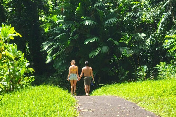 Road to Hana Full Day Tour with A Guide - Stop 1: Ho’okipa Beach Park and the sea turtle spotting moment