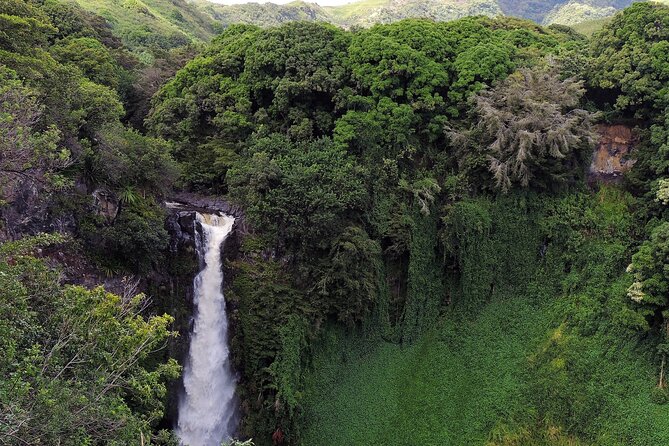 Road to Hana Full Day Tour with A Guide - Stop 6: Pua’a Ka’a State Park and the option to swim in a waterfall