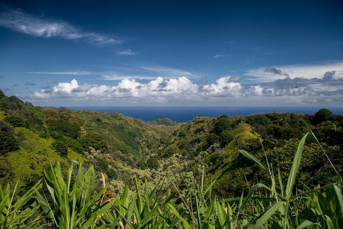 Road to Hana Halfway and Haleakala National Park - The Road to Hana halfway drive: waterfall walls and quick photo hits