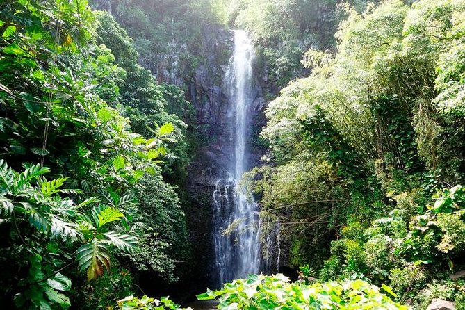 Road to Hana in Mercedes Van: Waterfalls and Black Sand Beach - Waterfalls and dramatic pullouts: what you actually get time for