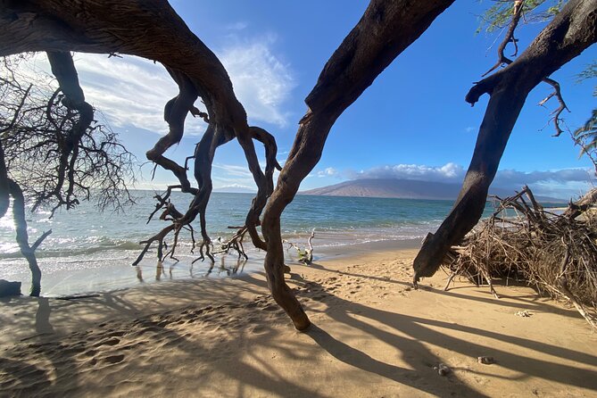 Road to Hana Maui Tours - Private tour comfort: why your group size changes the whole day