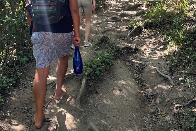 Road to Hana Maui Tours - Timing, tickets, and what’s handled for you