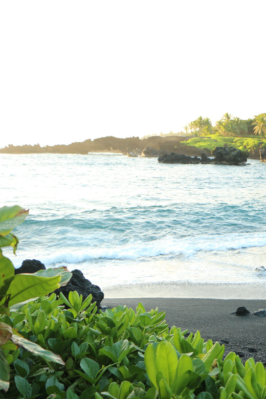Road to Hana: Professional Guide, Food, Swimming, Waterfalls - Learning the island: culture and plant knowledge without lectures