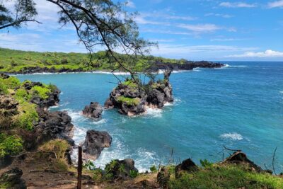 Road to Hana Rainforest, Black Sand Beach, Waterfalls & Lunch - Ho‘okipa Beach Park: surfers, sea turtles, and a quick morning reset