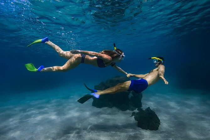 Scenic Coastal Adventure In 4x4 With Turtle Town Snorkel + Photos - Key takeaways before you book