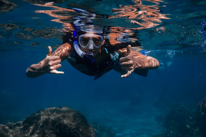 Scenic Coastal Adventure In 4x4 With Turtle Town Snorkel + Photos - What’s included in the $249 value, and what isn’t