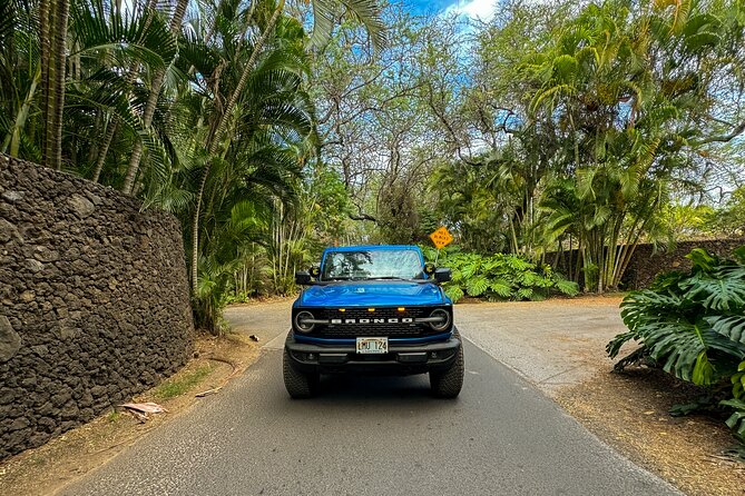 Scenic Coastal Adventure In 4x4 With Turtle Town Snorkel + Photos - Who should book this Turtle Town 4x4 + Turtle Reef snorkel?