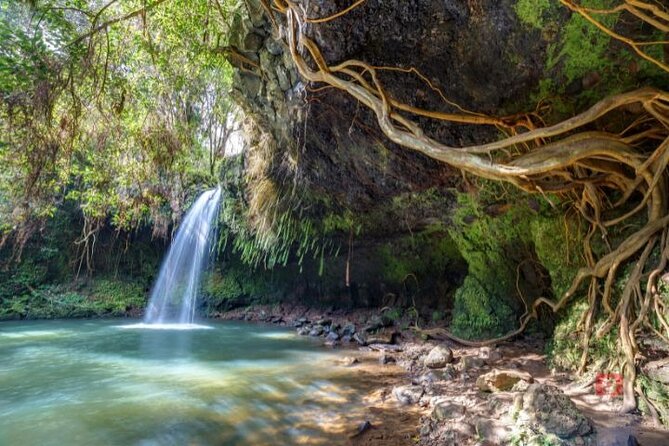 Self-Guided Audio Driving Tour in Maui - Kipahulu trails to whale watching: Papawai, Ho’okipa, Kihei
