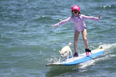 Semi Private Surf Lesson 4 Students 1 Instructor - Boards Included: Less Hassle, More Focus