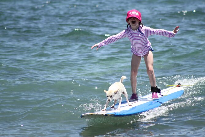 Semi Private Surf Lesson 4 Students 1 Instructor - Boards Included: Less Hassle, More Focus