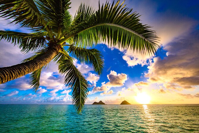 Shared Departure Transfer: Hotel to Maui Kahului Airport - Communication That Helps: Mobile Tickets and 24/7 Service
