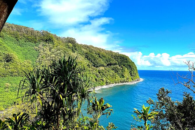 Shore Excursion of Maui - Stop 1 at Ho’okipa Beach Park: turtles and a wild North Shore edge