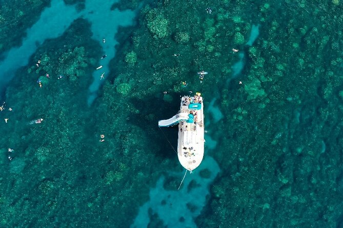 Small Group Coral Gardens Snorkel & Waterslide Adventure - The 25-Foot Waterslide: The Fun Factor, Minus the Surprises
