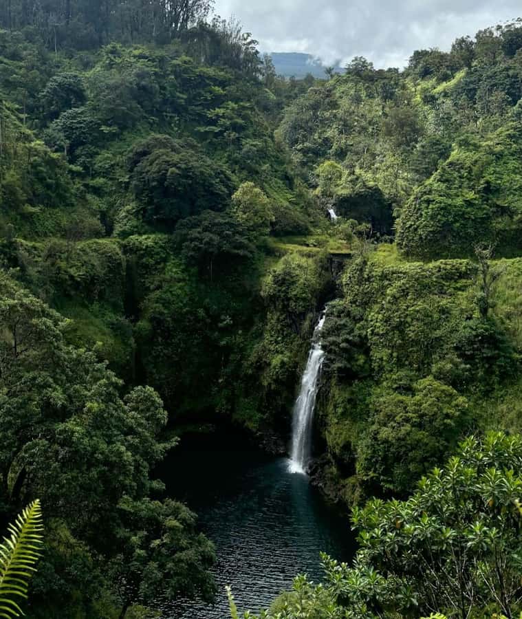 Small Group Full Day Road to Hana Adventure Guided Tour - Lunch at Hana Farms: What’s Included and What You Should Confirm