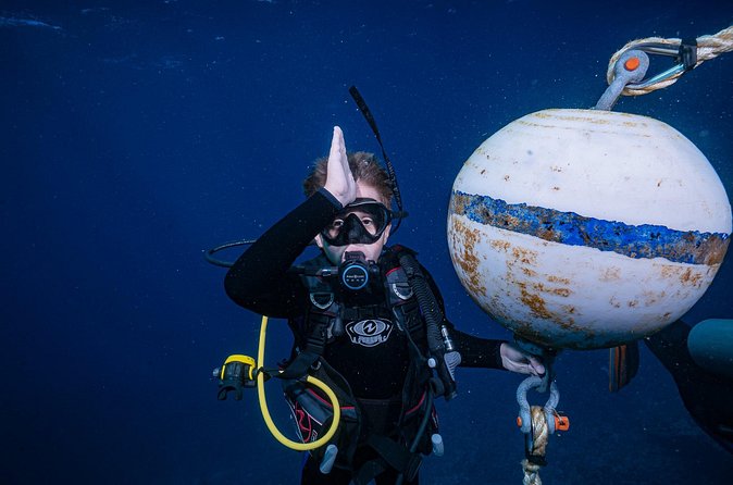 Small-Group Shark and Turtle Dive for Certified Divers - Shore entry logistics: the walk is part of the deal