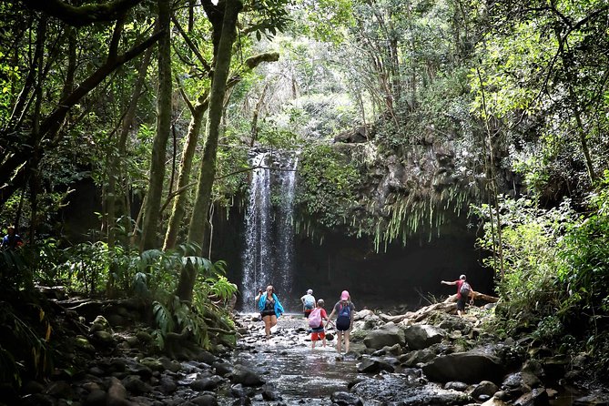 Small Group Waterfall and Rainforest Hiking Adventure on Maui - Road to Hana Morning: From Kahului Park & Ride to Trailhead