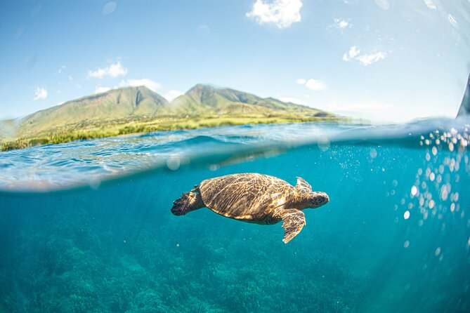 Snorkel Sail Adventure off Ka'anapali Beach, Maui - Four Hours on Gemini: What This Kaanapali Snorkel Sail Is Really Like