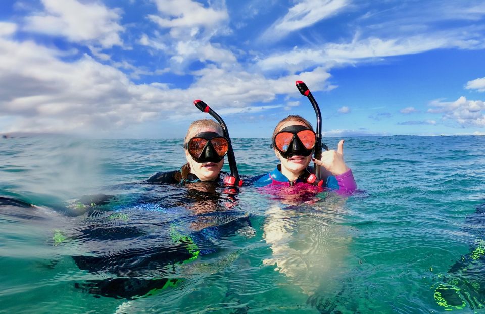 Snorkeling for Non-Swimmers Guided Tour - Wailea Beach - Price and Value at $149: Who Gets the Best Deal